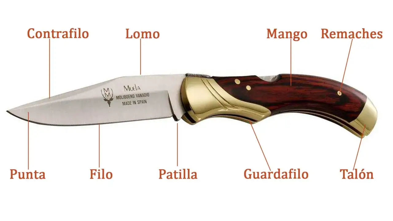 Piezas de un cuchillo Muela, ideal para cuchillos de caza mayor. Muestra punta, filo, lomo, contrafilo, patilla, guardafilo, mango y remaches.