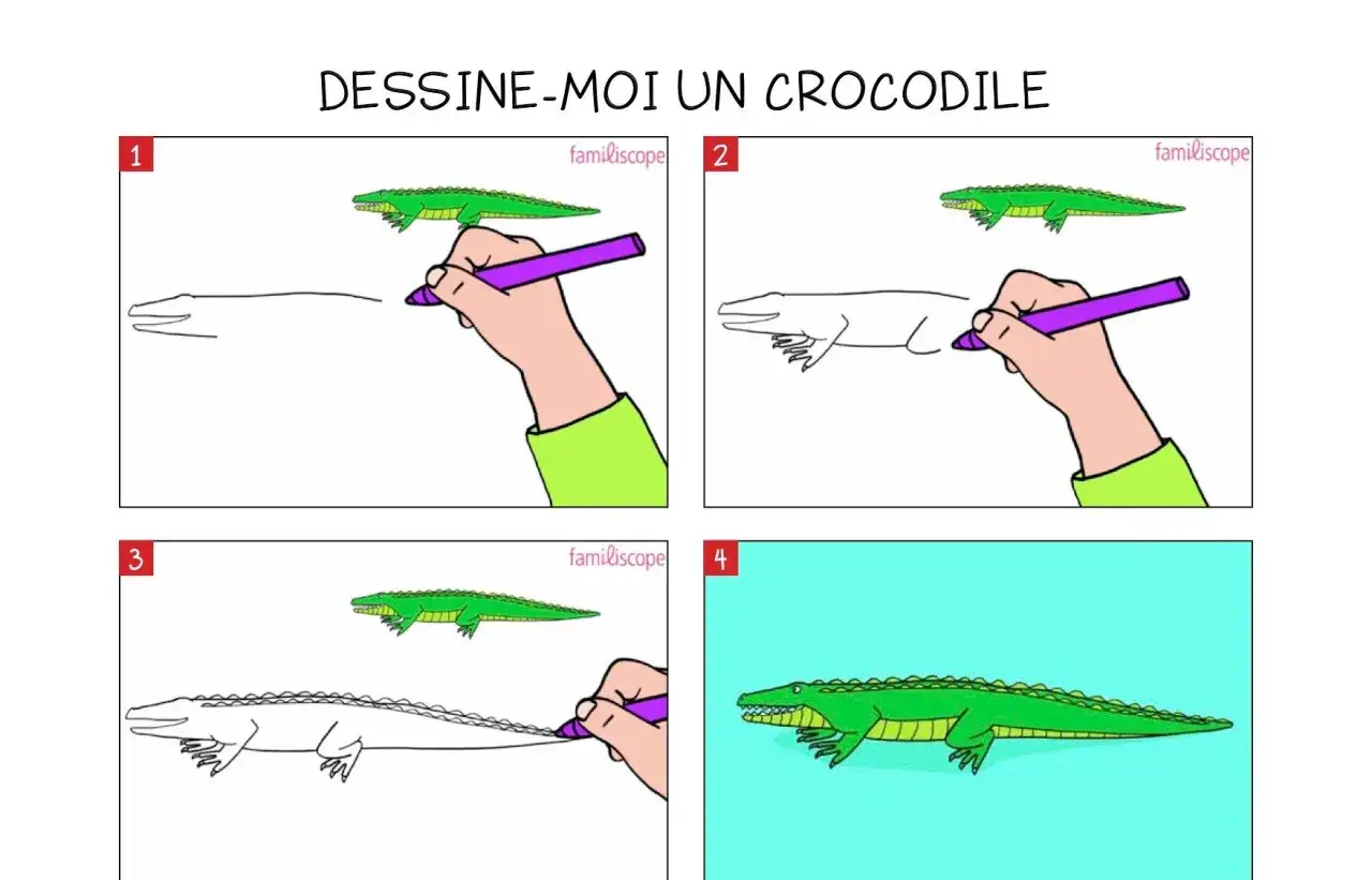 &Eacute;tapes pour un crocodile facile &agrave; dessiner. Une main dessine un crocodile vert, &eacute;tape par &eacute;tape, sur fond blanc puis bleu.
