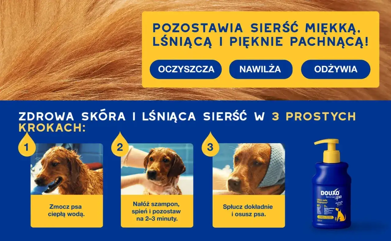 Mokry pies w kroku 1, pies z pianą w kroku 2 i pies z ręcznikiem na głowie w kroku 3. To instrukcja użycia mydła dla psa.