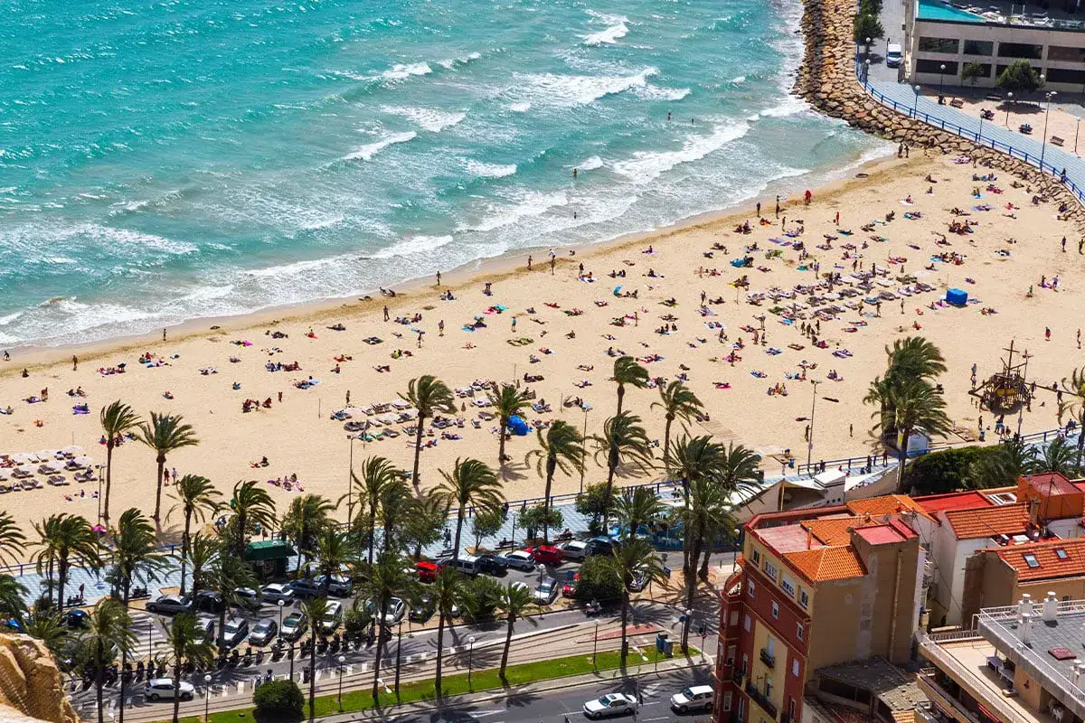 Alicante co zobaczyć? Słoneczna plaża pełna ludzi, palmy i turkusowe morze. Idealne miejsce na wakacje.