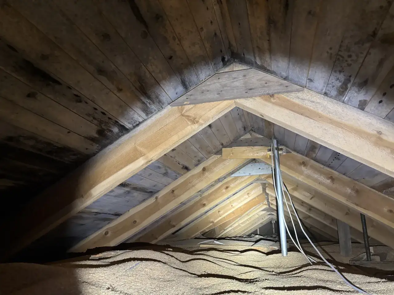 Takbjälkar med mörka fläckar, möjligen tecken på fukt eller svamp i huset. Isoleringsmaterial ligger på golvet.