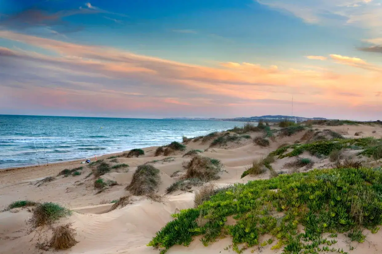 Dunas y vegetación en las playas de la marina al atardecer. El mar azul contrasta con el cielo rosado y anaranjado.