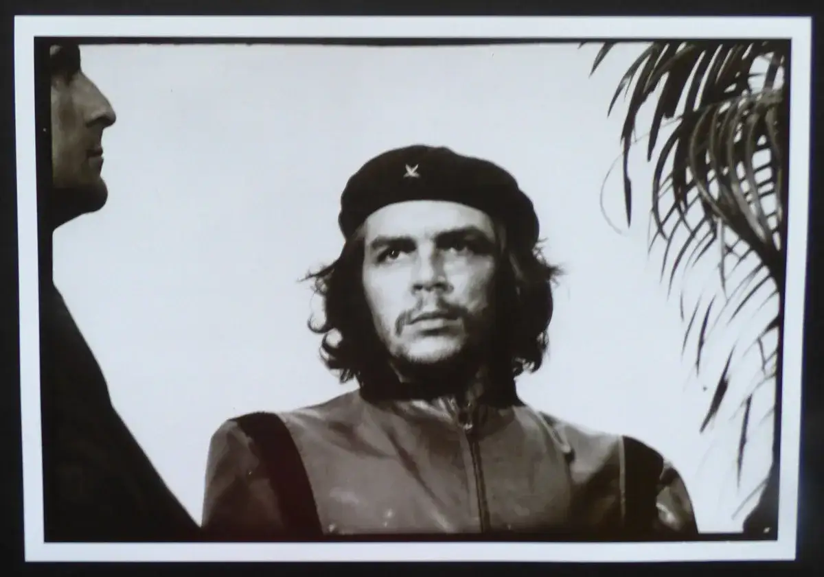 Ritratto di Che Guevara, la foto pi&ugrave; famosa del mondo, con un uomo di profilo a sinistra e una palma a destra.