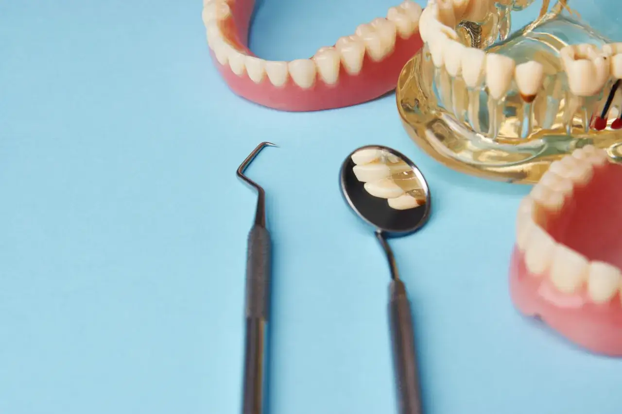 Modele szczęk i narzędzia stomatologiczne, w tym lusterko odbijające zęby, sugerują wizytę u dentysty, być może związaną z zabiegiem hemisekcji zęba.