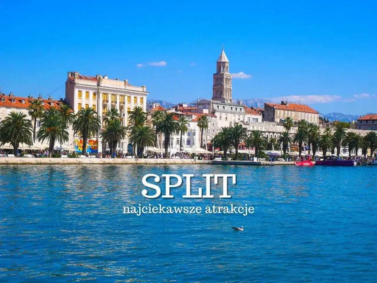 Widok na Split, Chorwacja. Palmy, białe budynki i wieża katedry nad błękitnym morzem. Odkryj najciekawsze atrakcje!