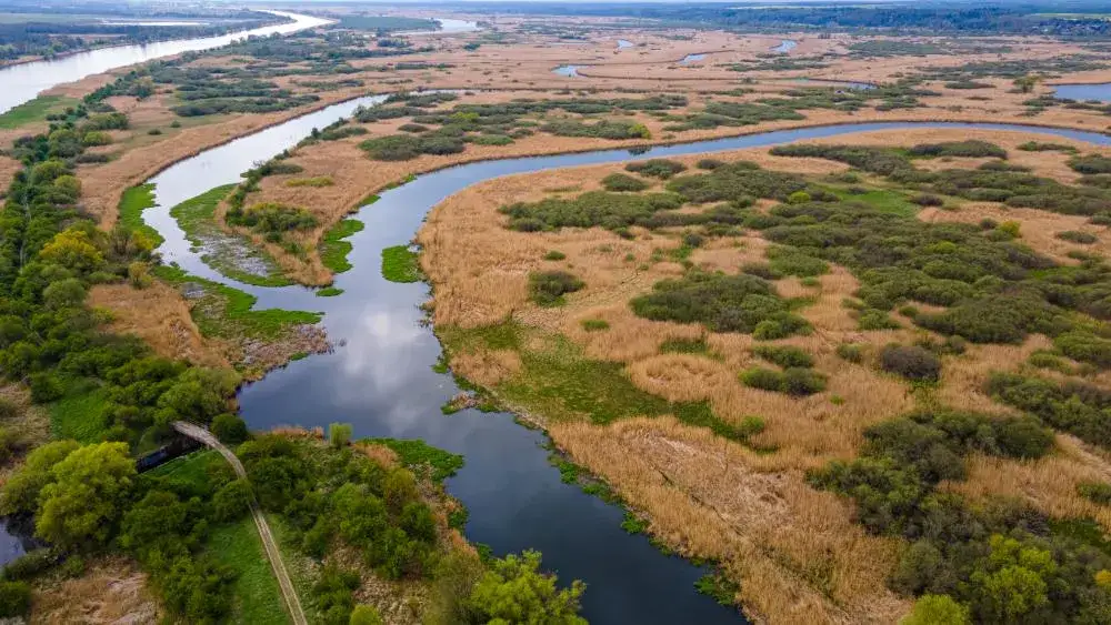 Park Krajobrazowy Dolina Dolnej Odry