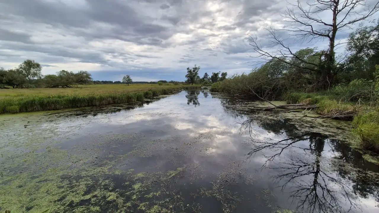 Ein ruhiger Flusslauf, der zum Neuendorfer See f&uuml;hrt, spiegelt den dramatischen Himmel wider.