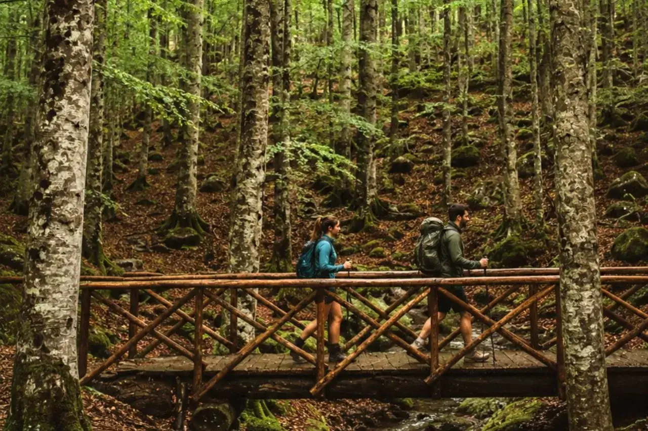 Co robić na Monte Amiata? Coppia escursionista attraversa un ponte di legno in un bosco lussureggiante.