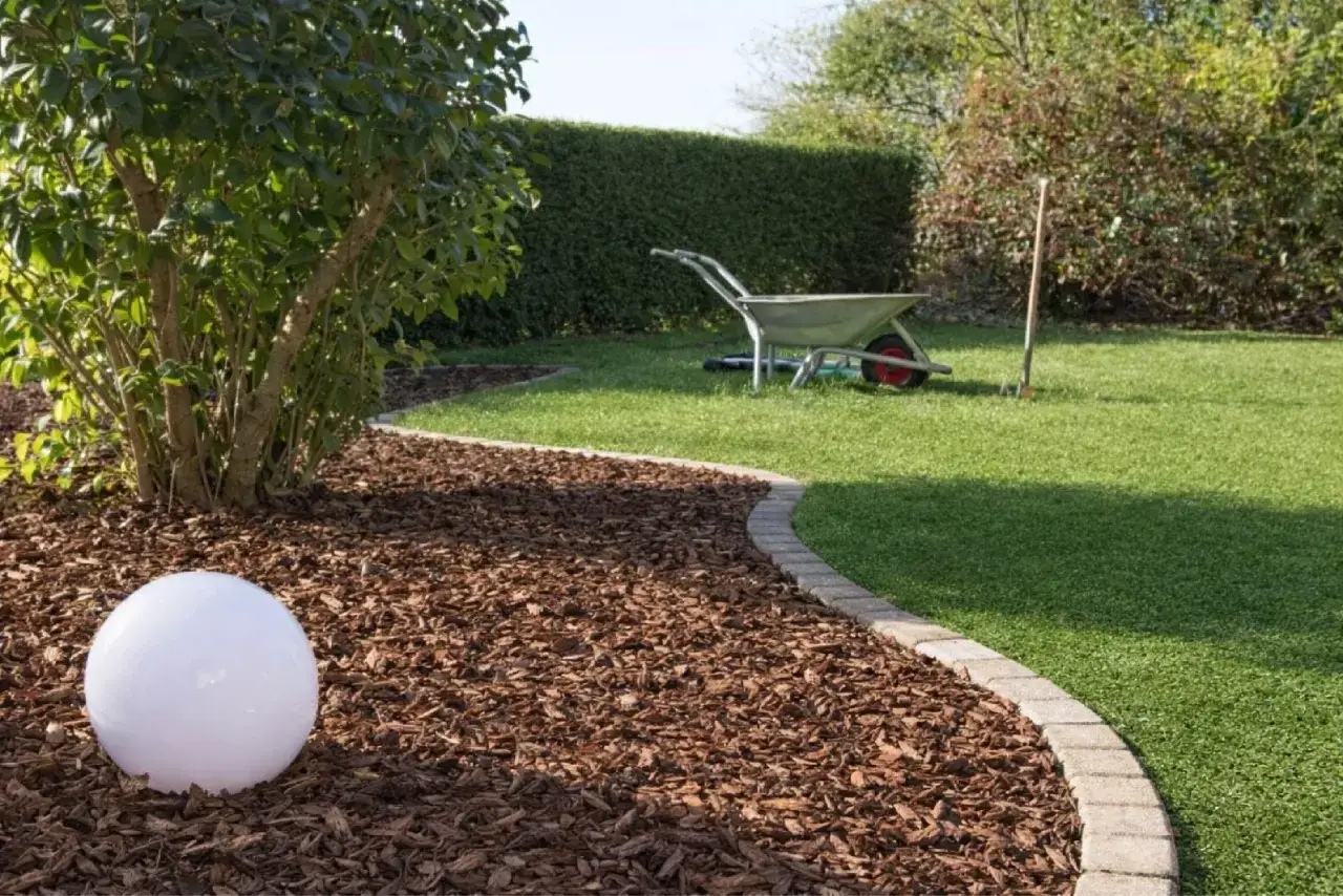 Aiuola con corteccia marrone, un grande arbusto verde e una sfera luminosa bianca. Sullo sfondo, un prato curato, una carriola e attrezzi da giardinaggio.