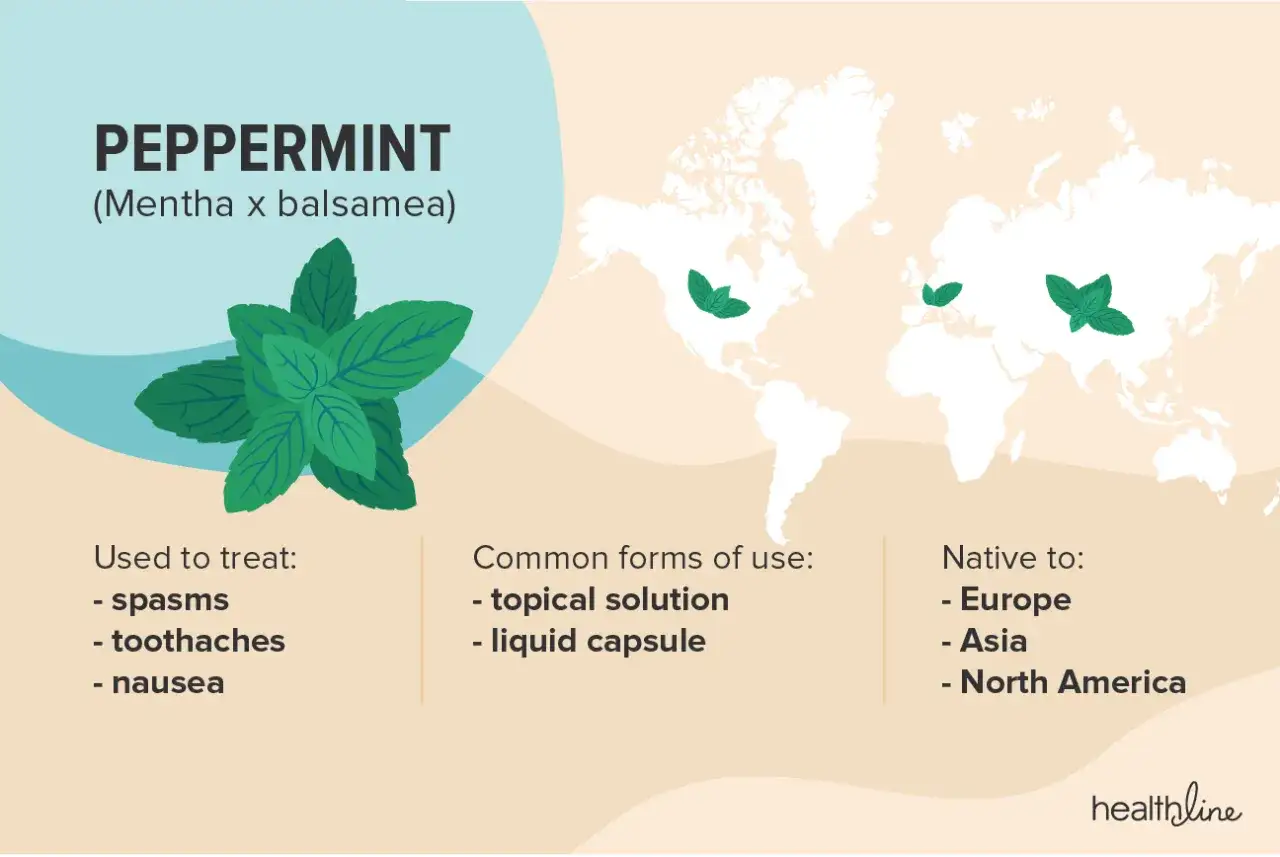 Mięta pieprzowa (Mentha x balsamea) jest naturalnym sposobem na ból głowy, stosowana w formie płynu lub kapsułek. Pochodzi z Europy, Azji i Ameryki Północnej.