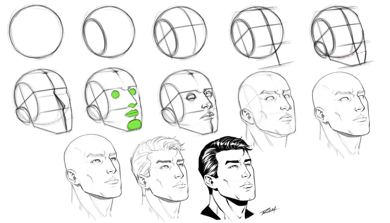 Dessin contour montrant les &eacute;tapes de construction d'une t&ecirc;te masculine, des formes g&eacute;om&eacute;triques aux traits finis.