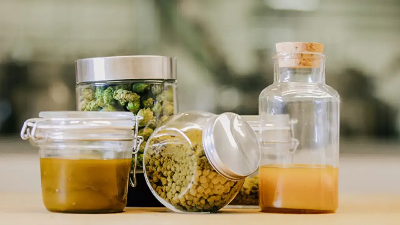 Gläser mit Hopfenblüten, Pellets und Flüssigkeit. Die Bedeutung von Hopfen für Bier und mehr wird hier visuell dargestellt.