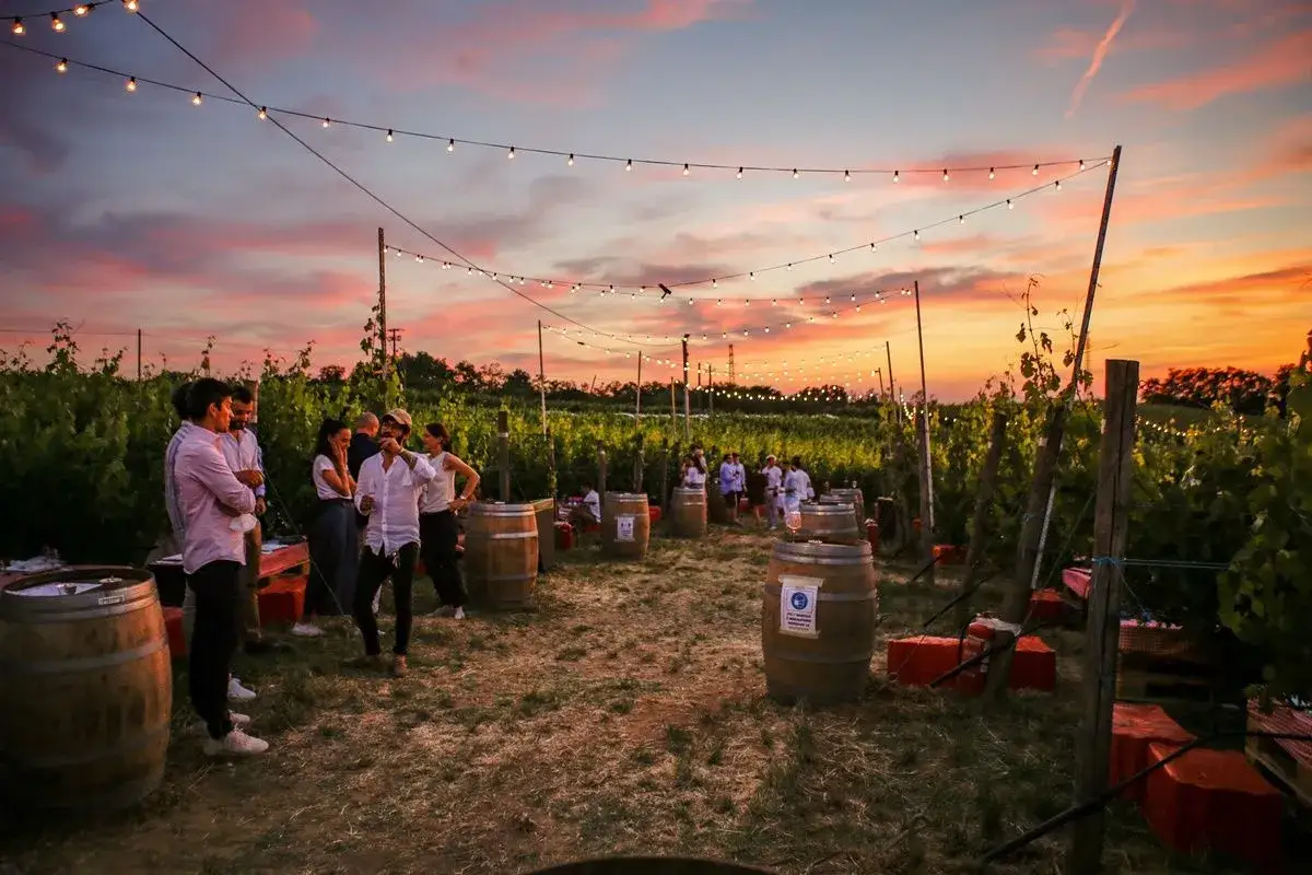 Un magico aperitivo in vigna al tramonto, con luci soffuse e amici che brindano tra le botti.