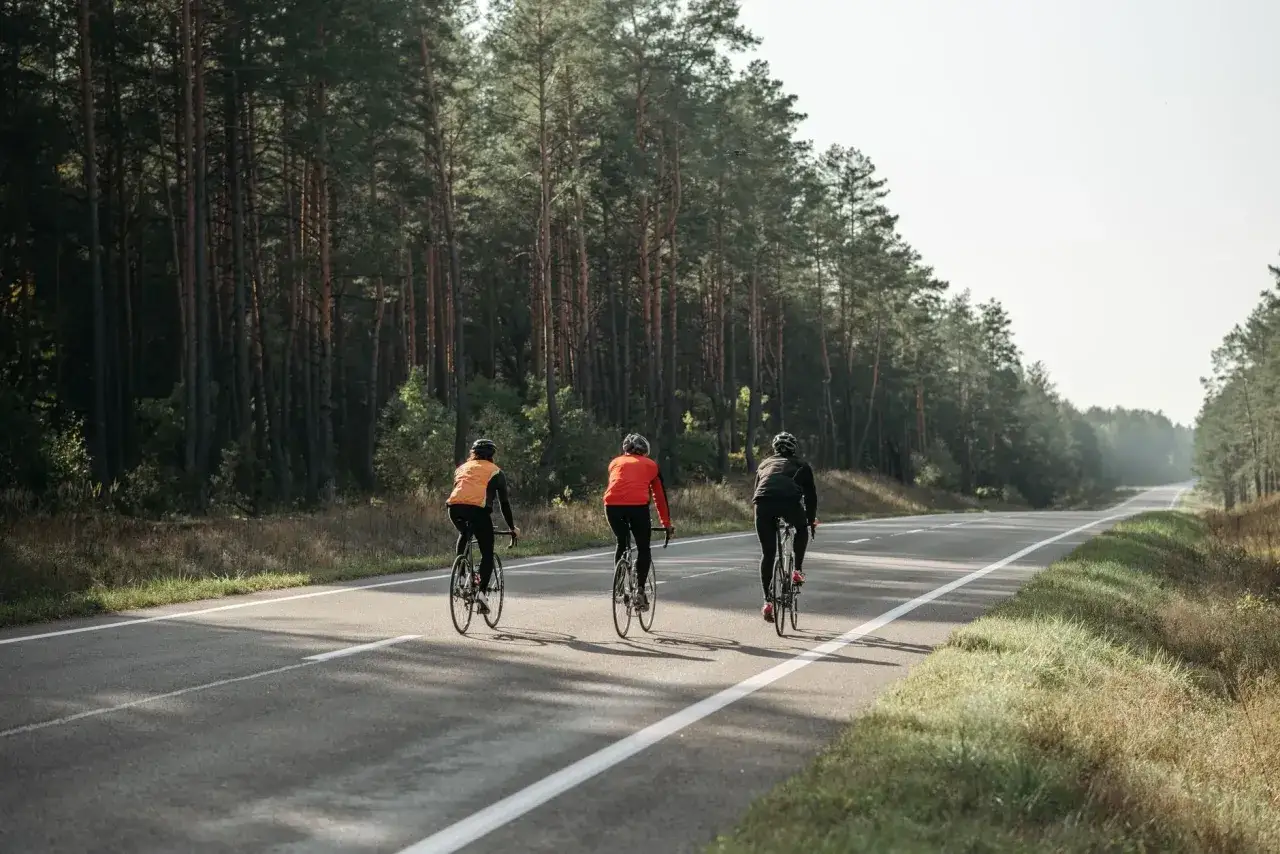Trzej rowerzyści przemierzają malownicze trasy rowerowe okolice Warszawy, otoczeni gęstym lasem.