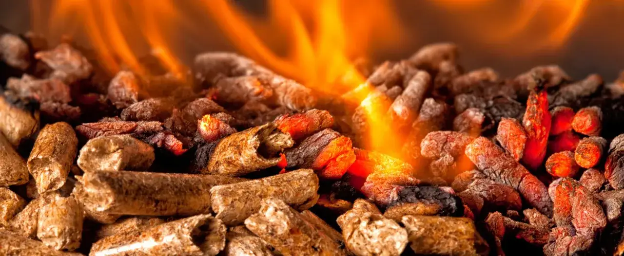 Flammes orangées dans un poêle à granulés, illuminant la **couleur cendre** des combustibles.
