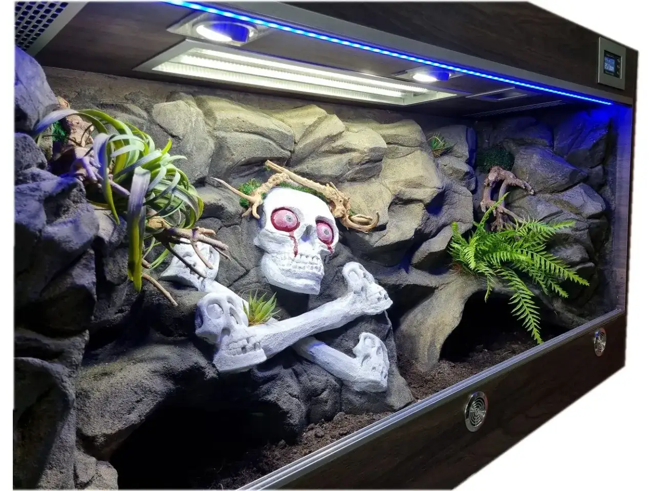 Mroczne terrarium dla pytona kr&oacute;lewskiego z ozdobami w kształcie czaszek i kości, otoczone skałami i roślinnością.