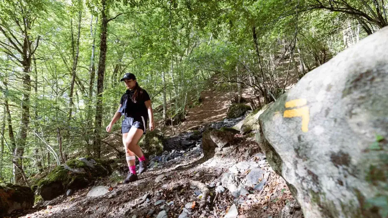 Une femme suit un rando trail dans une forêt verdoyante. Un marquage jaune sur un rocher indique le chemin.