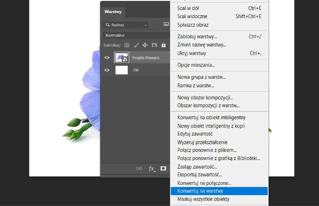 Menu kontekstowe warstw w Photoshop. Wybierz 