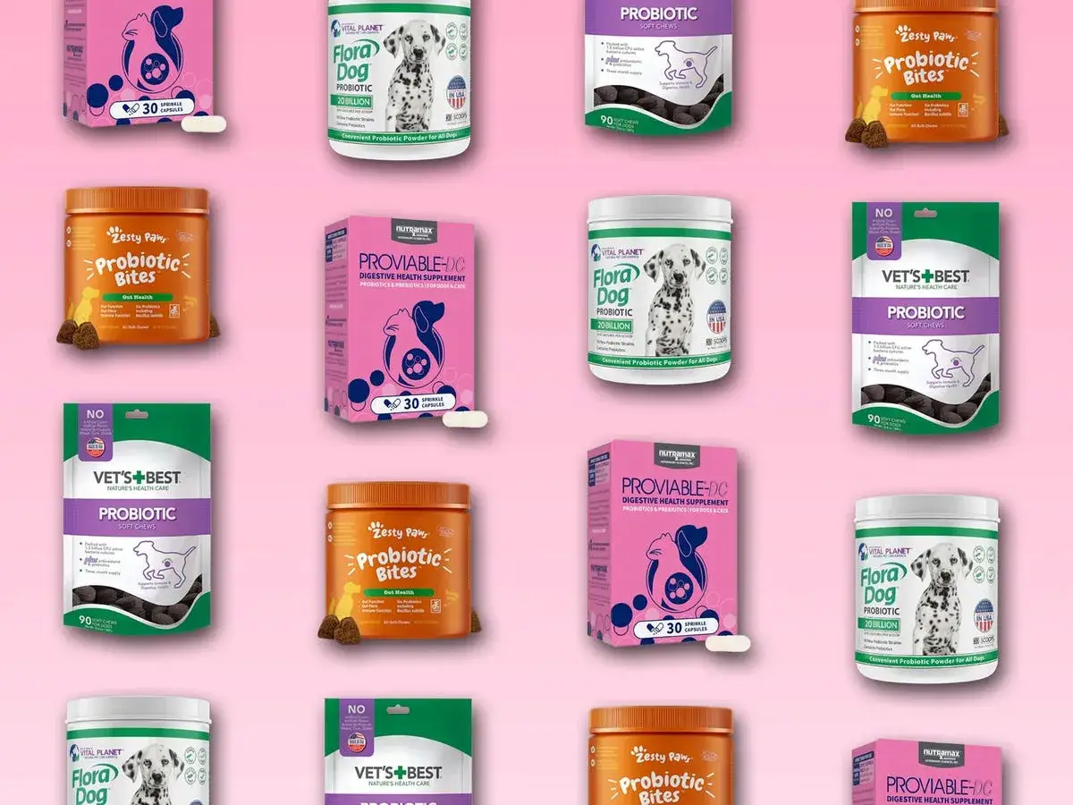 R&oacute;żne produkty, gdzie kupić probiotyk dla psa: proszek, kapsułki i przysmaki. Zdjęcia opakowań z dalmatyńczykami i psami.