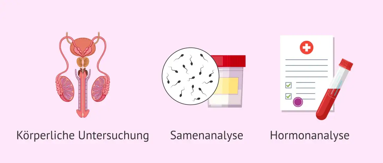 Männliche Fruchtbarkeit nach Chemotherapie: Darstellung von männlichen Fortpflanzungsorganen, Spermienanalyse und Hormonanalyse.