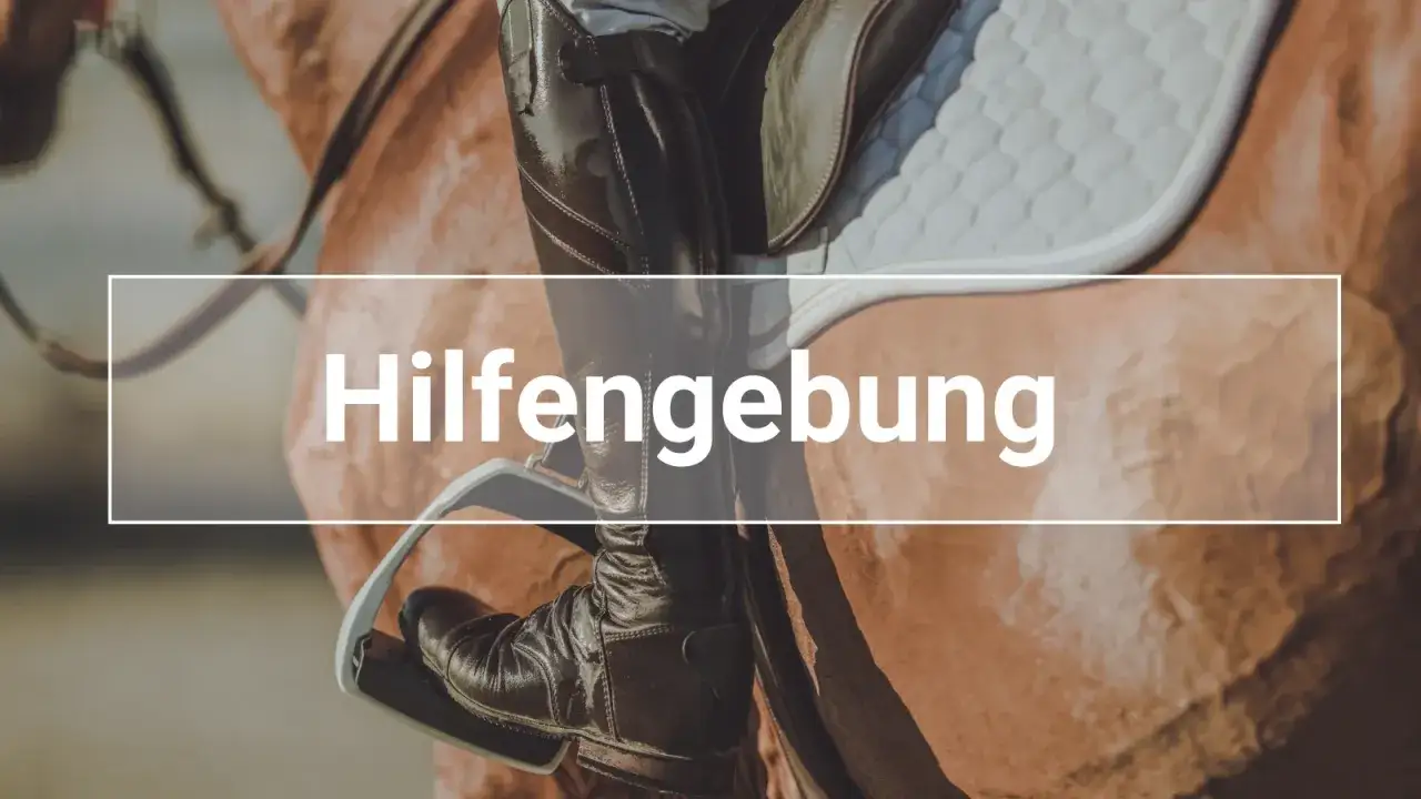 Reiterstiefel im Steigb&uuml;gel, ein Zeichen f&uuml;r professionelle Hilfen beim Reiten.