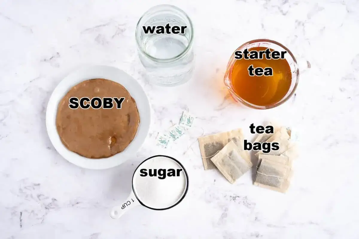 Ingredienser f&ouml;r kombucha recept: SCOBY, vatten, startte, tep&aring;sar och socker.