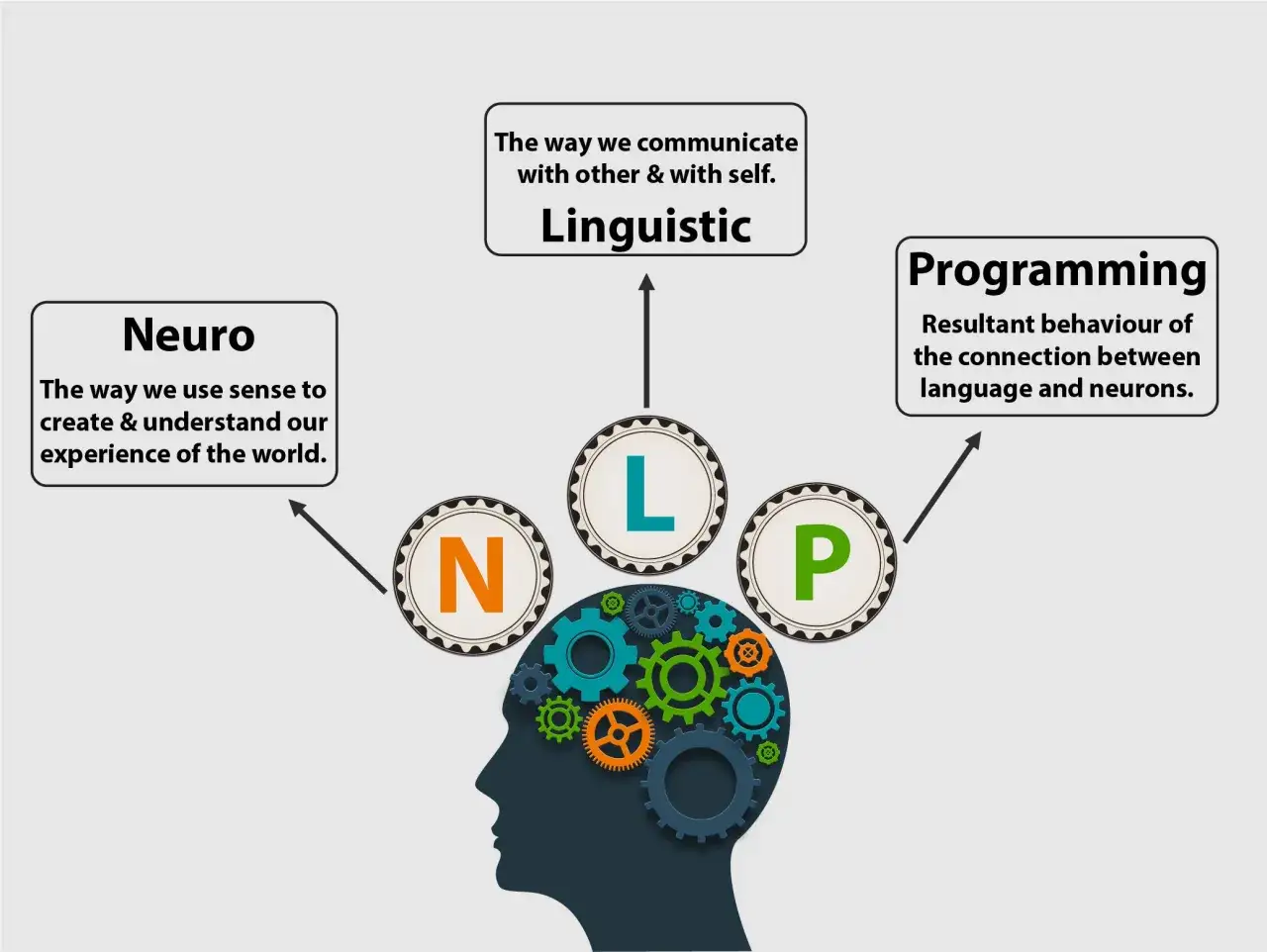 El PNL que es: Neuro (sentidos), Ling&uuml;&iacute;stico (comunicaci&oacute;n) y Programaci&oacute;n (comportamiento) se unen en la mente.
