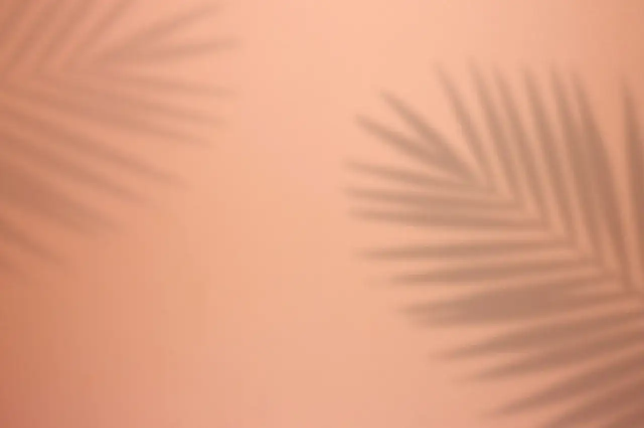 Ombre de feuilles de palmier sur un arrière-plan personnalisé couleur pêche, évoquant une ambiance tropicale douce.