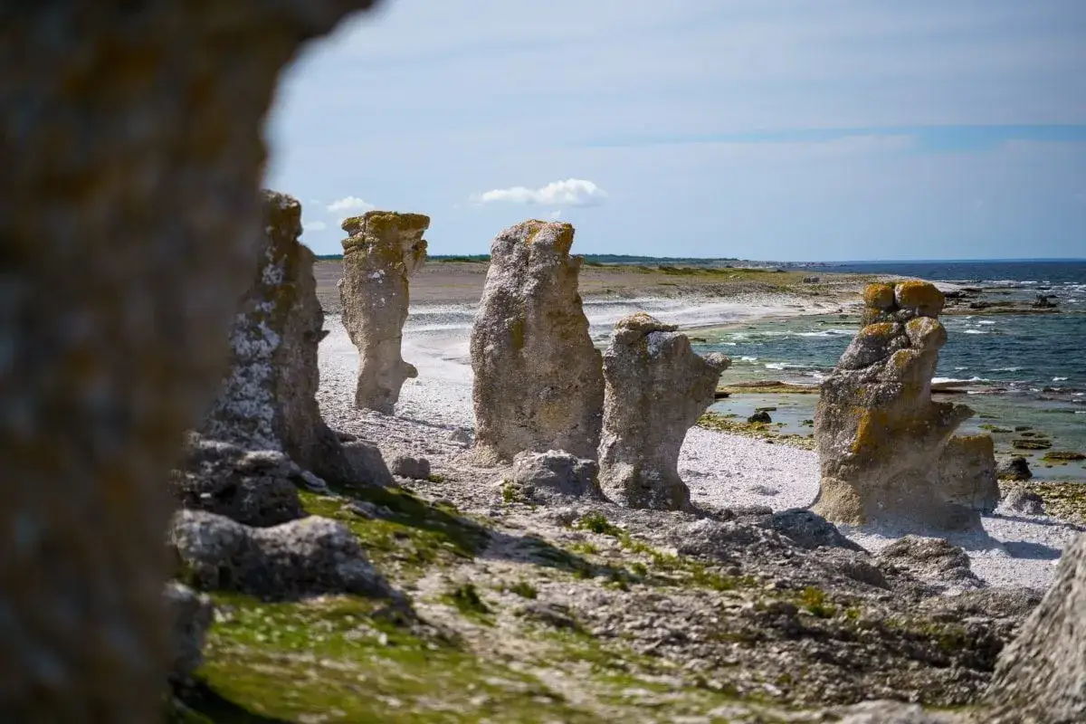 Raukaformationer vid havet på Gotland. Perfekta gotland tips för naturälskare.