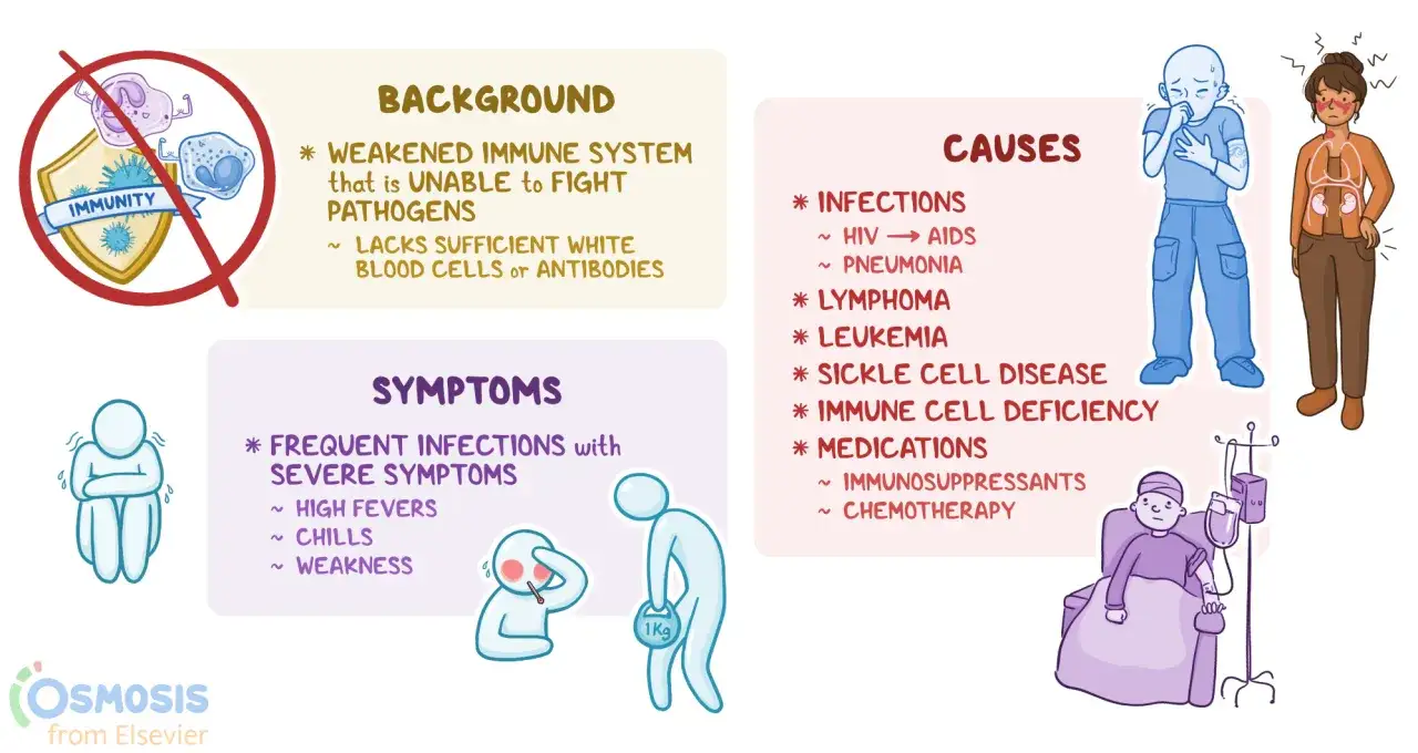 Schéma expliquant les causes et symptômes d'un système immunitaire affaibli, comme les infections, la leucémie ou les traitements médicaux.