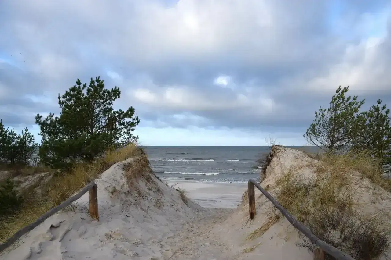 Ścieżka przez wydmy prowadzi na dziką plażę. Morze faluje pod pochmurnym niebem, a sosny szumią na piasku.