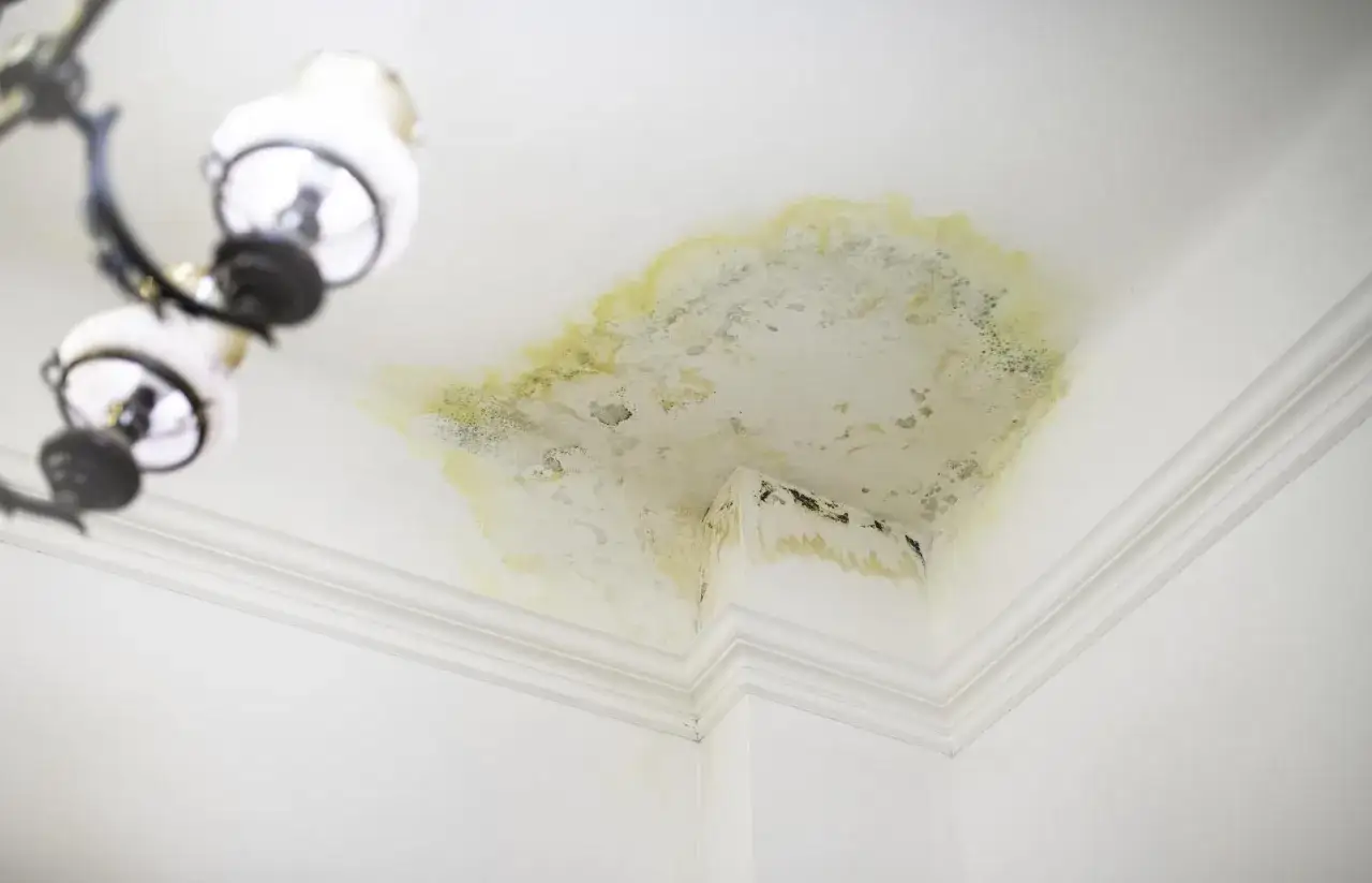 Brzydki zaciek na suficie, żółto-zielone przebarwienia i pleśń w rogu pokoju. Lampa wisząca w tle.