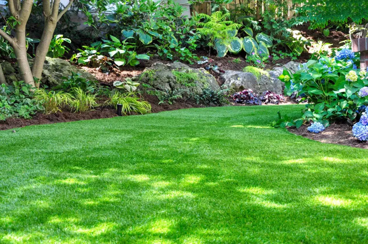 A lush green lawn with dappled sunlight, bordered by shade-loving plants and hydrangeas.