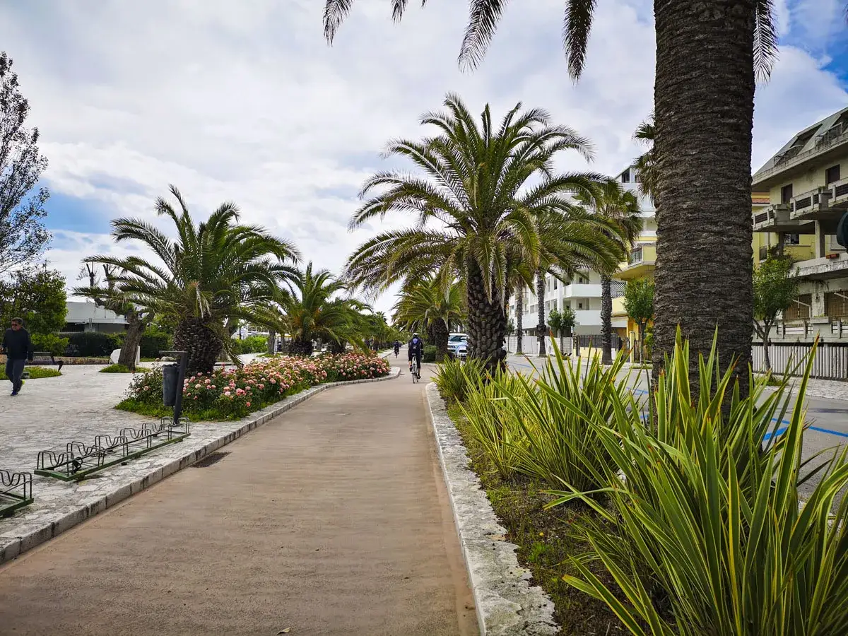 Passeggiata sul lungomare Cupra Marittima con palme, fiori rosa e un ciclista.