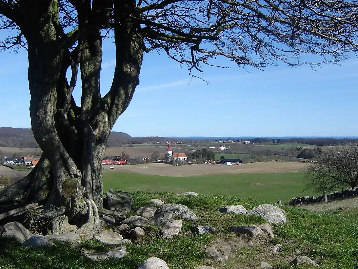Vacker vy över Skåne Tranås med en kyrka i fjärran, omgiven av böljande fält och ett knotigt träd i förgrunden.