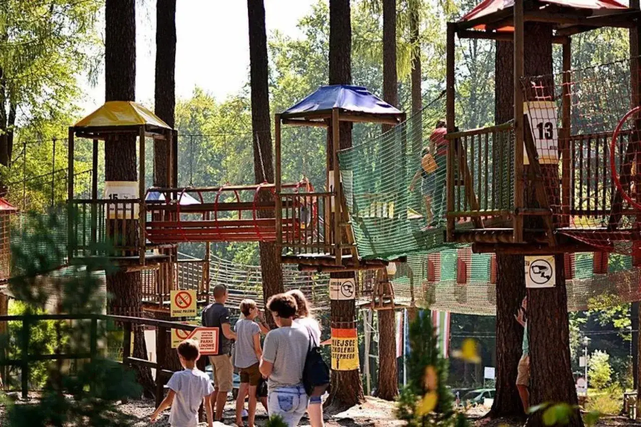 Park Aktywności Czarodziejska Góra Jedlina-Zdrój trasy dla dzieci i tyrolka