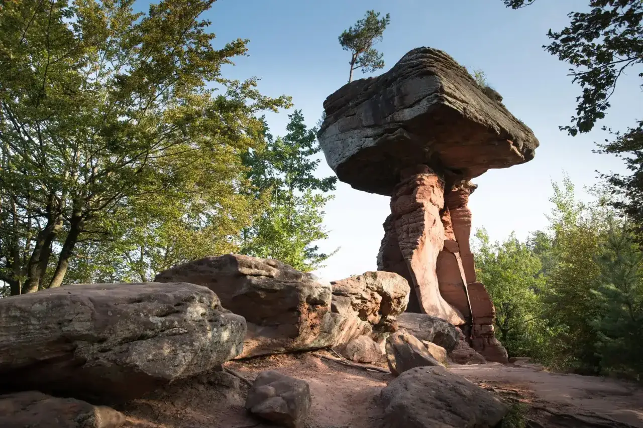 Balancierender Felsen im Pfälzerwald, ein Geheimtipp für geheime Ausflugsziele Rheinland-Pfalz. Ein Baum thront auf dem Stein.