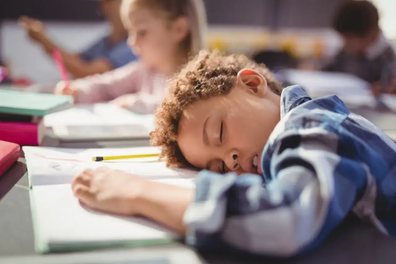 Un enfant dort sur sa table, fatigué par les leçons. La réglementation sur les dortoirs de maternelle vise à assurer le repos des petits.