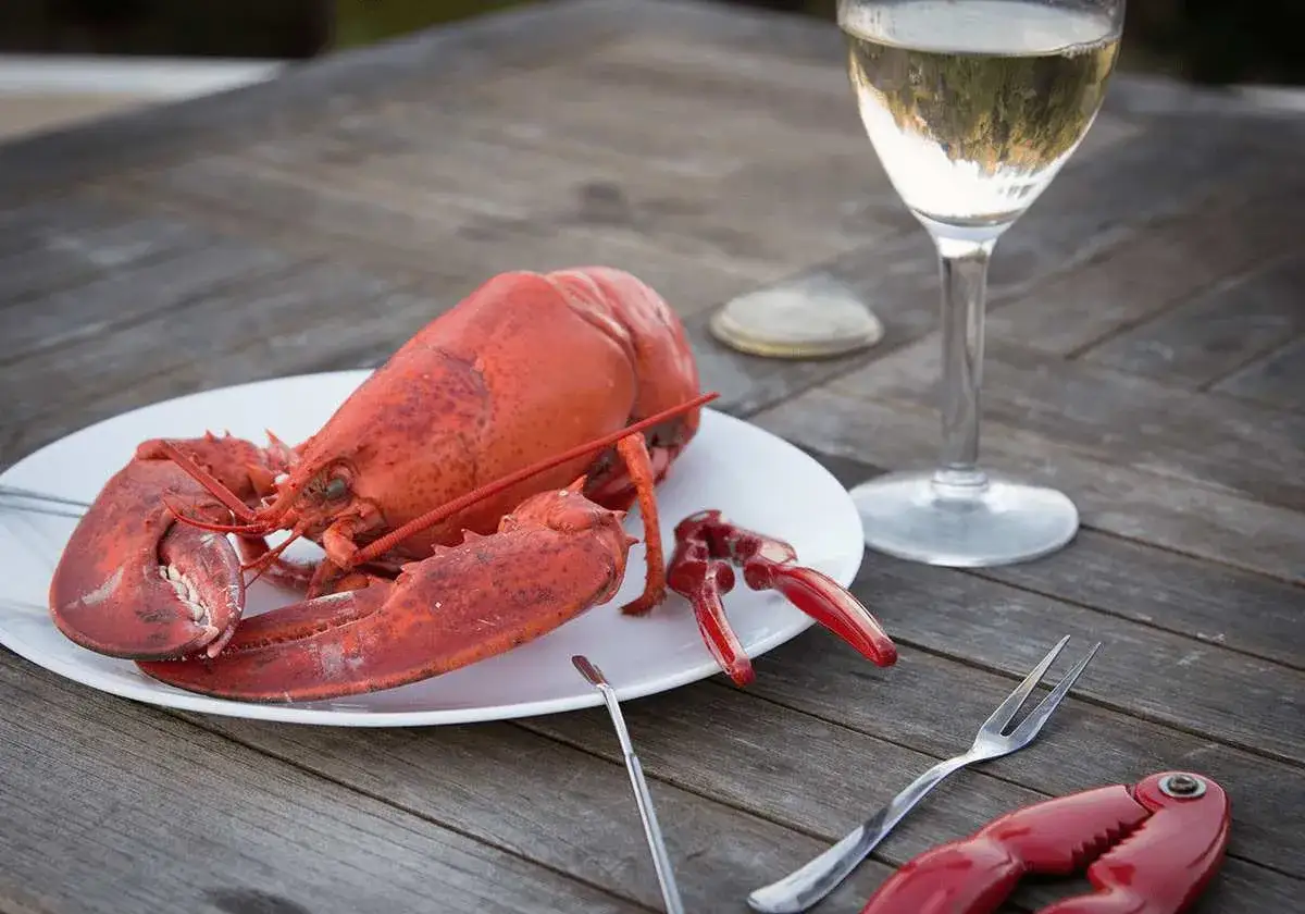 En hel, r&ouml;d hummer p&aring; en vit tallrik, redo att avnjutas med ett glas vitt vin. En perfekt kombination f&ouml;r en sommarkv&auml;ll.