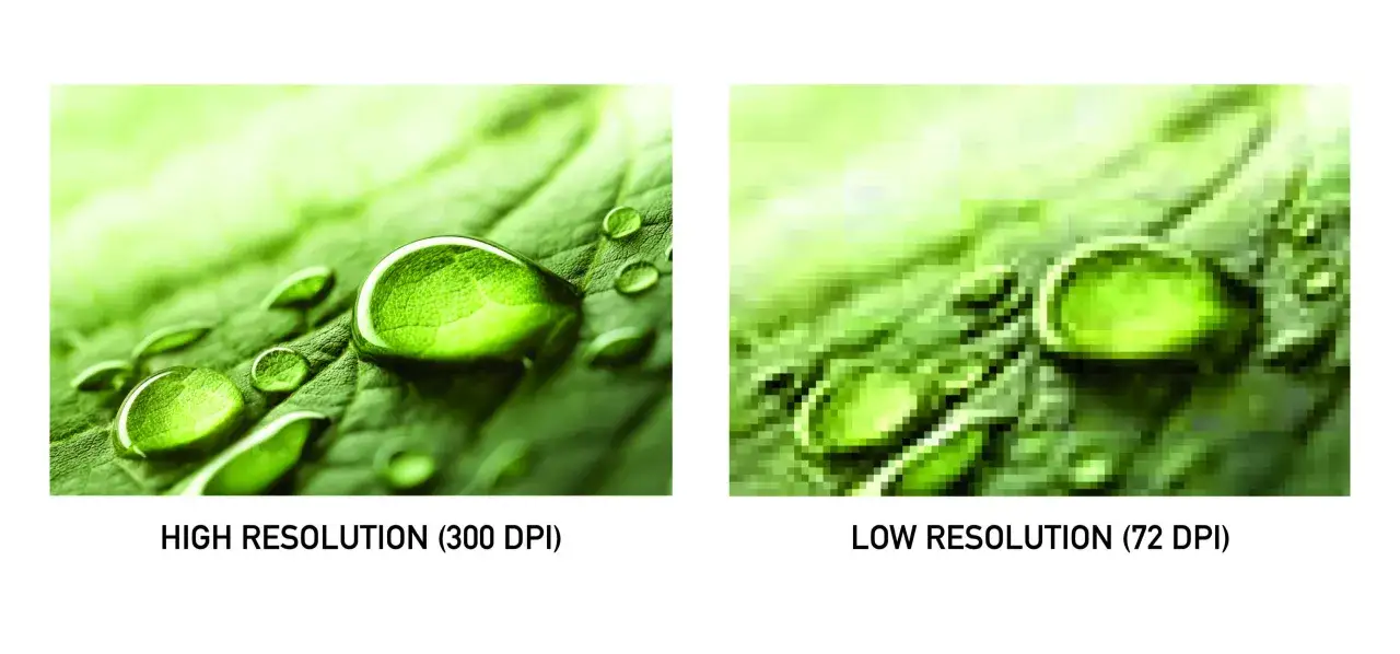 Confronto tra immagini: alta risoluzione (300 dpi stampante) con gocce d'acqua su foglia e bassa risoluzione (72 dpi stampante) pixelata.
