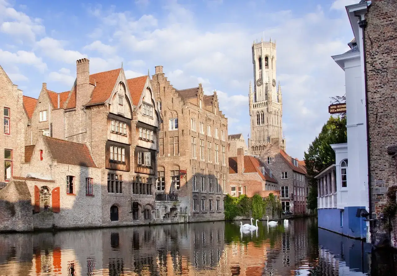 Canali di Bruges con cigni e il campanile. Un'idea di cosa vedere a Bruges in un giorno, tra case storiche e riflessi sull'acqua.