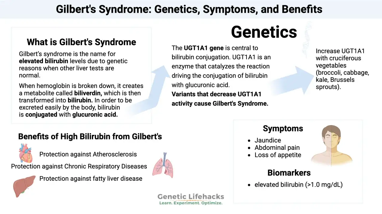 Información sobre el sd Gilbert: genética, síntomas, beneficios y biomarcadores.