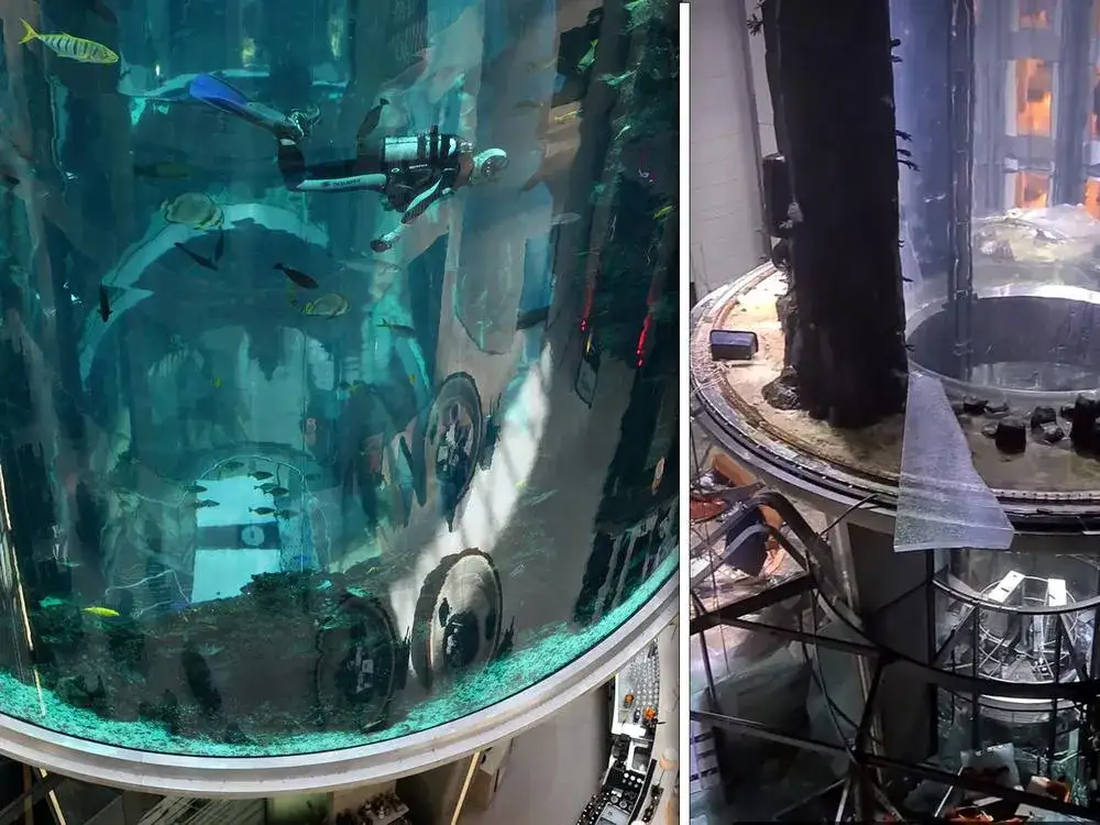 AquaDom Berlin vor und nach dem Einsturz
