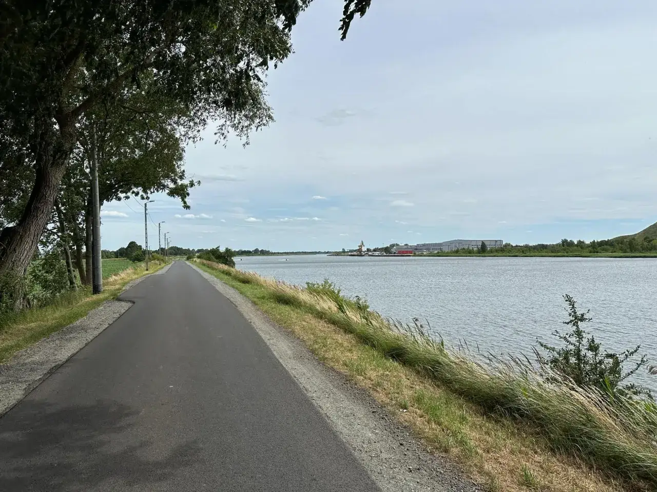 Droga rowerowa wzdłuż wody na wyspie sobieszewskiej. W oddali widać zabudowania i dźwig portowy.