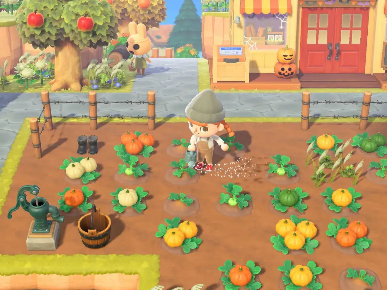 Gracz w grze Animal Crossing PC podlewa dynie na farmie. W tle widać sklep z dekoracjami na Halloween i postać królika.