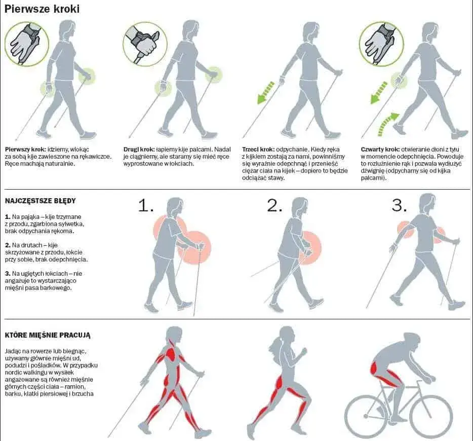 porównanie nordic walking power walking