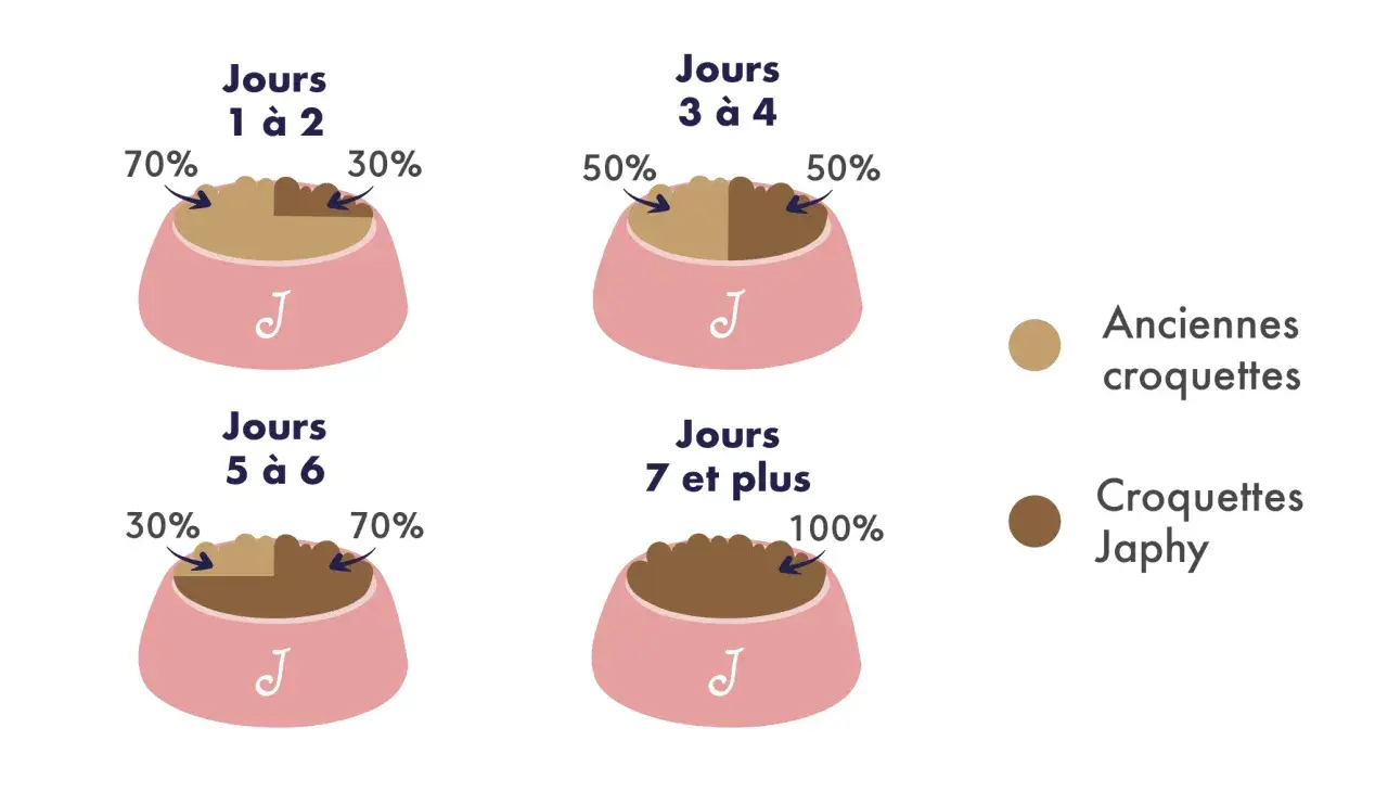 Guide de transition croquette chien : 70% anciennes croquettes / 30% Japhys (jours 1-2), puis 50/50 (jours 3-4), 30/70 (jours 5-6), et enfin 100% Japhys.
