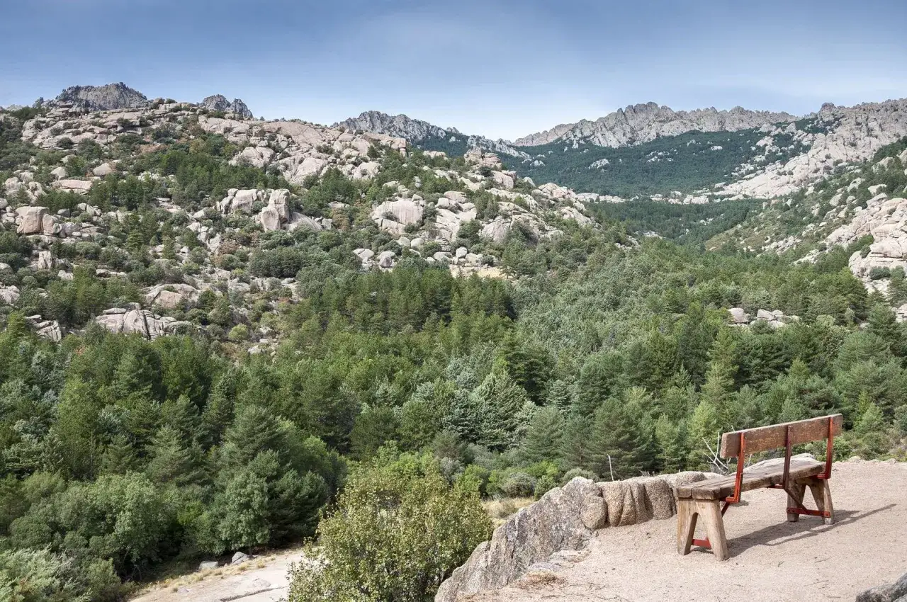 Banco de madera con vistas a un valle boscoso y rocoso, ideal para disfrutar de las **la pedriza rutas**.