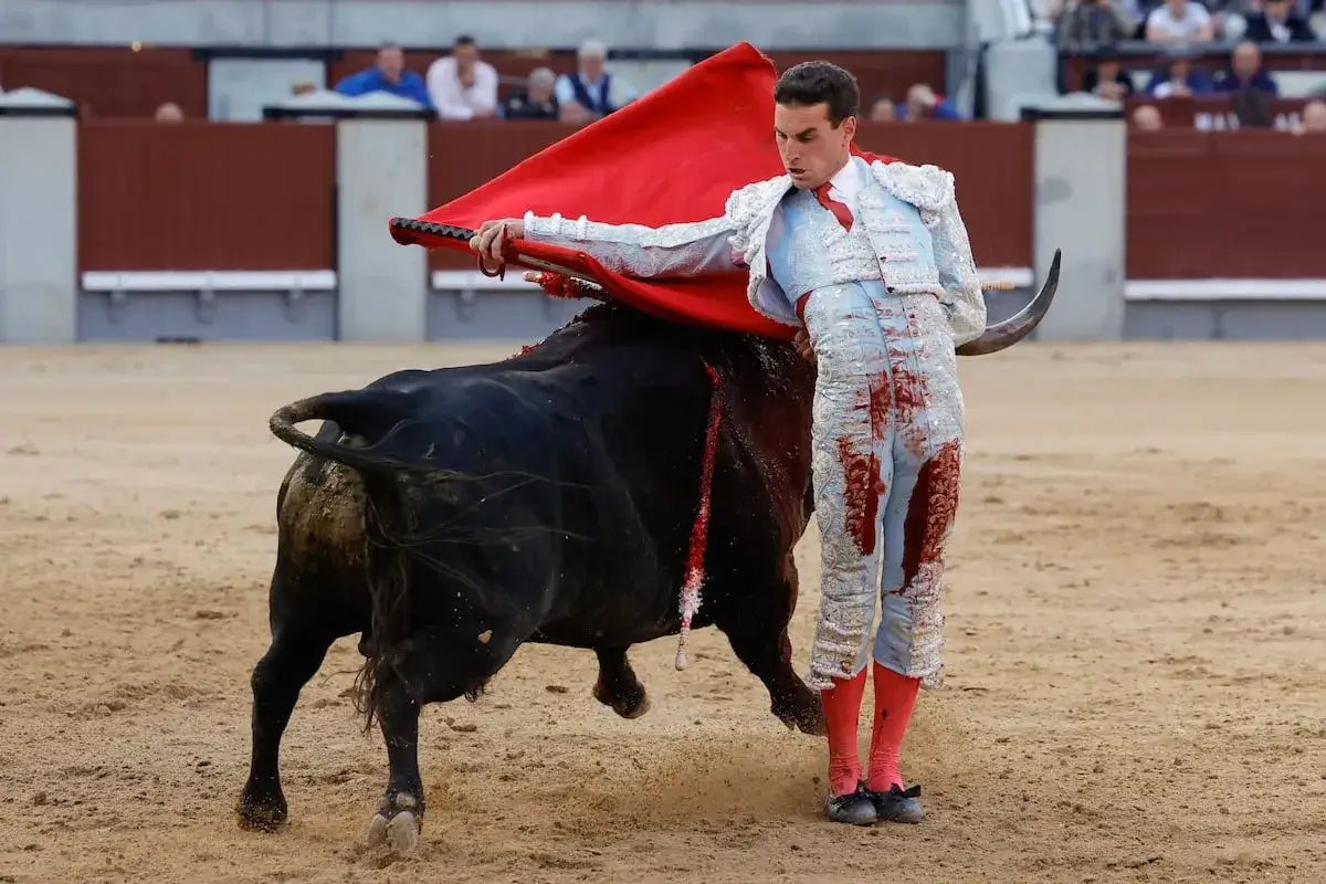 Un torero, con su traje de luces manchado de sangre, se enfrenta a un toro bravo en la arena. El capote rojo ondea, creando un momento de tensi&oacute;n.