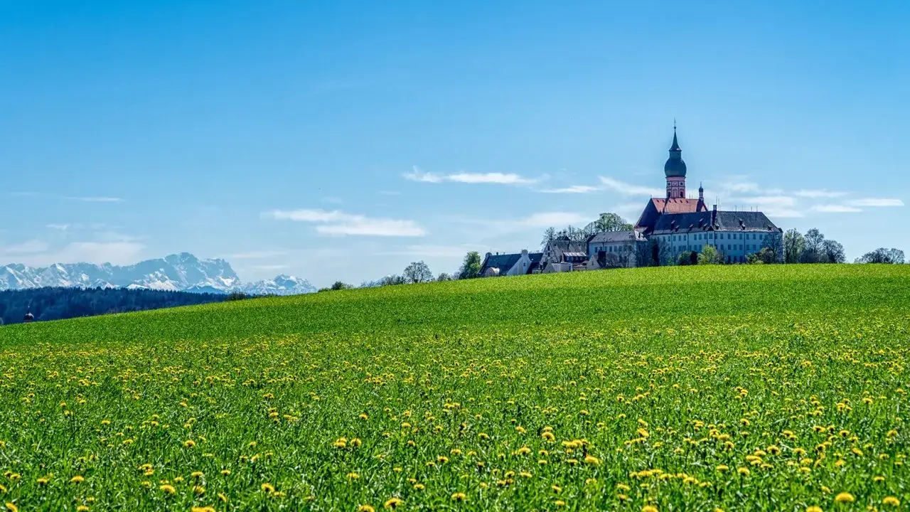 Grünes Feld mit Löwenzahn, Kloster Andechs und schneebedeckte Ammersee Berge im Hintergrund.